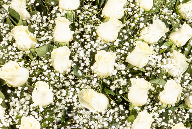 Flores