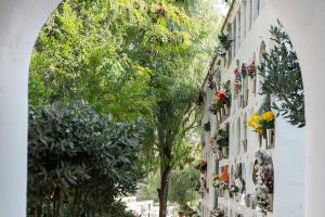 cementerio sant pere de ribes