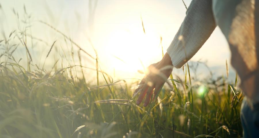 home